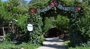 Doga Pension Olympos