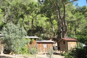 Saban Tree Houses Olympos