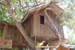 Turkmen Tree Houses Olympos